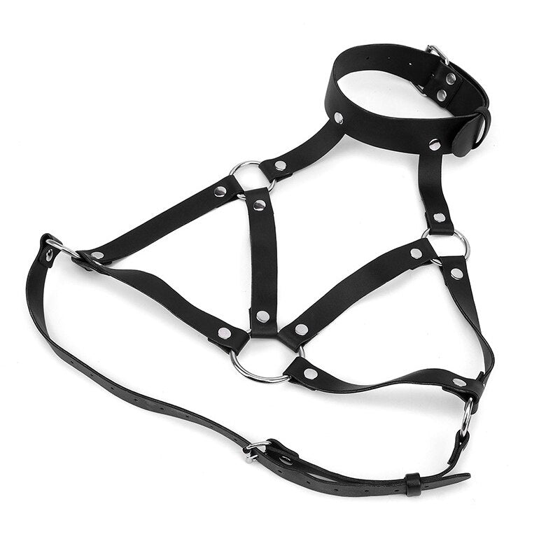 Leather Chocker and Bra Harness